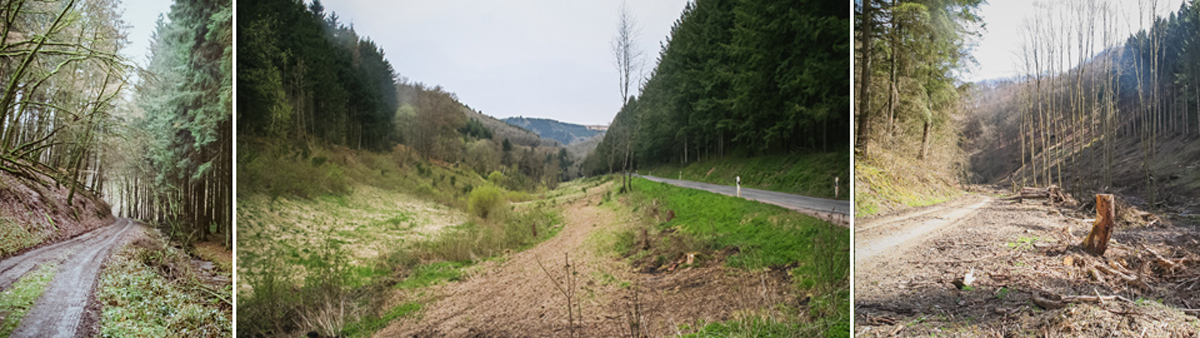 Landschaftsbild