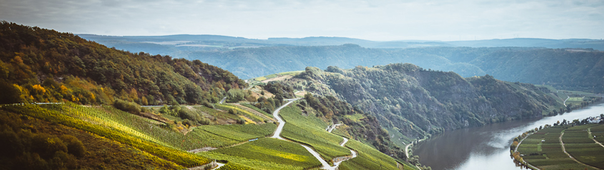 Landschaftsbild - Weinberge, Fluss